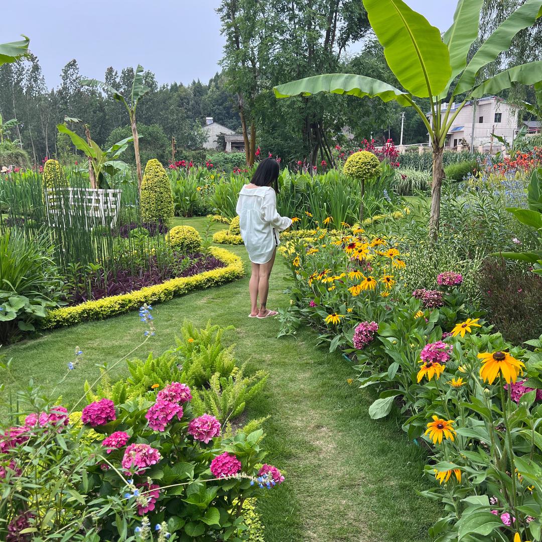 秋实婆（盲盒已开）