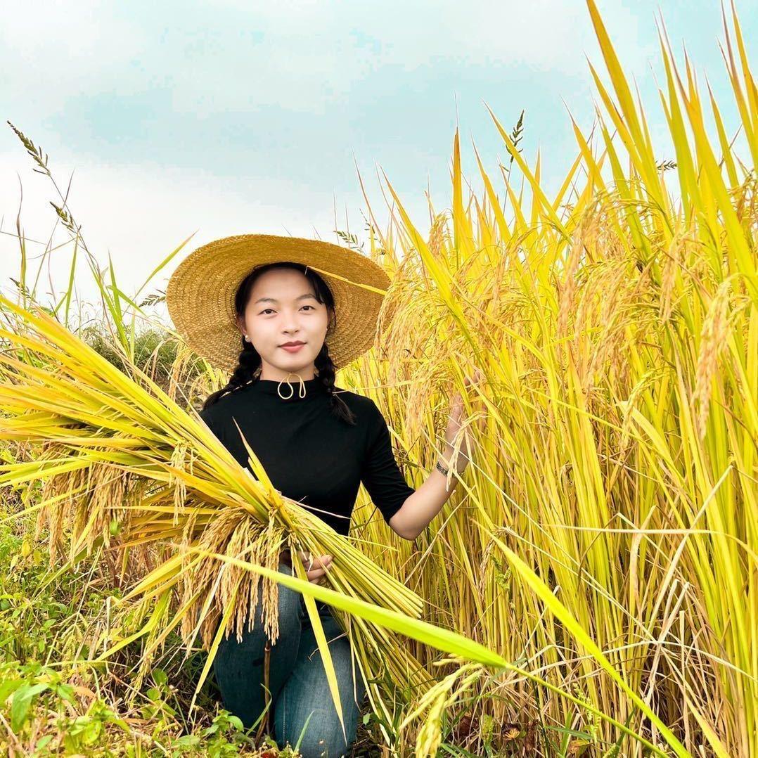95后村支书卖大米