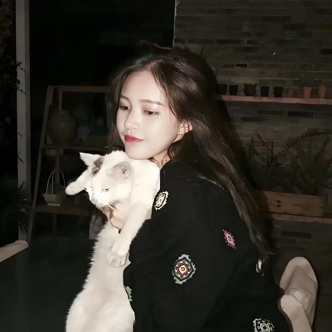 几禾里网游（三角洲行动）