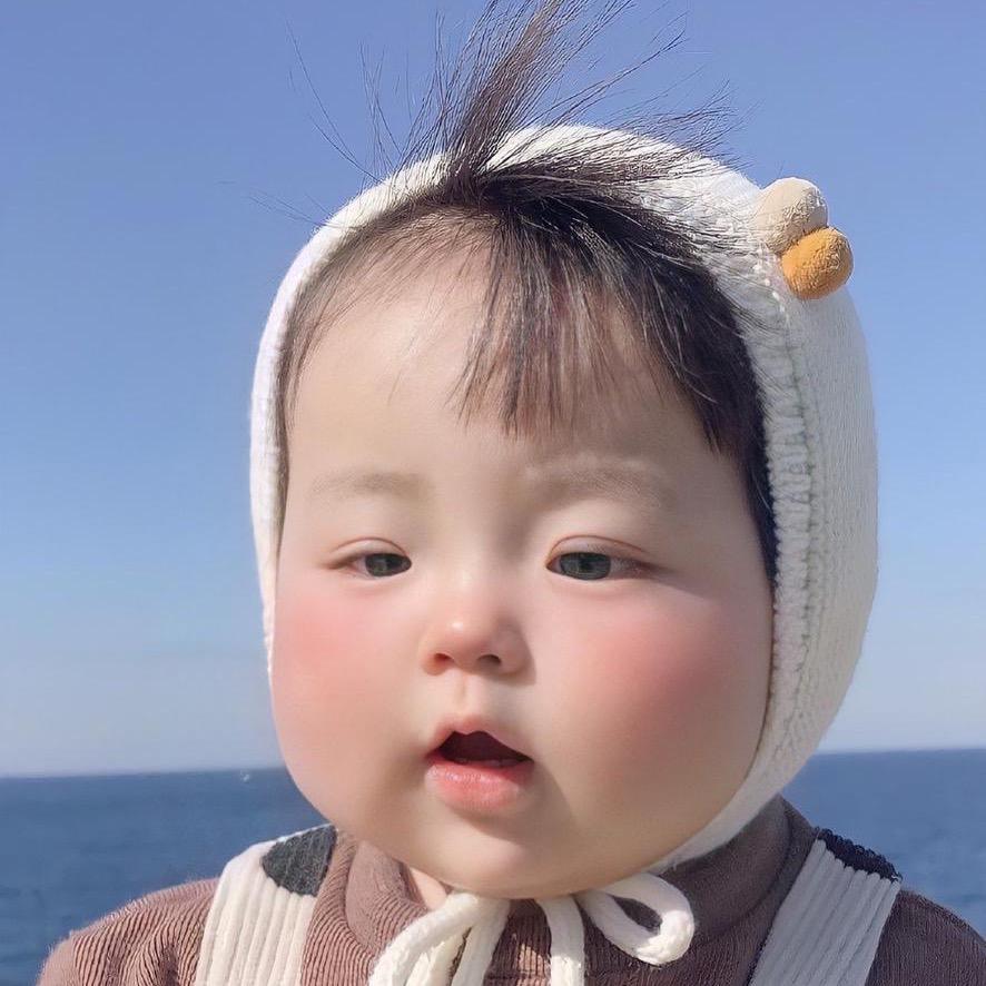 haikoulonghu24