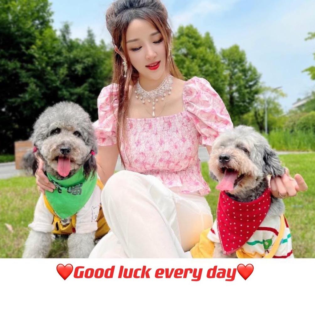 欣宝的小跟班【多多和灰灰】@抖音