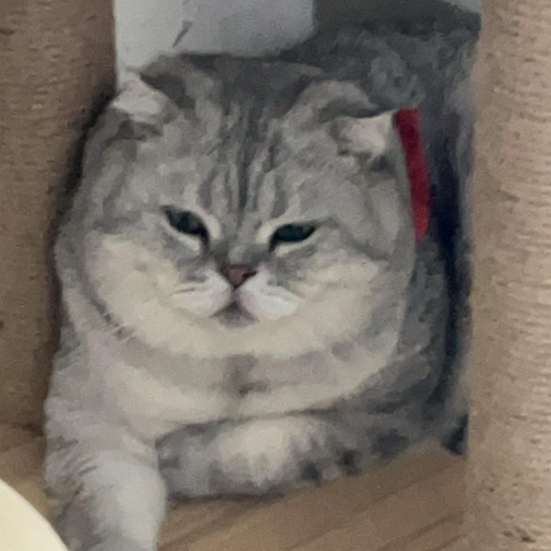 昨日晴🈳