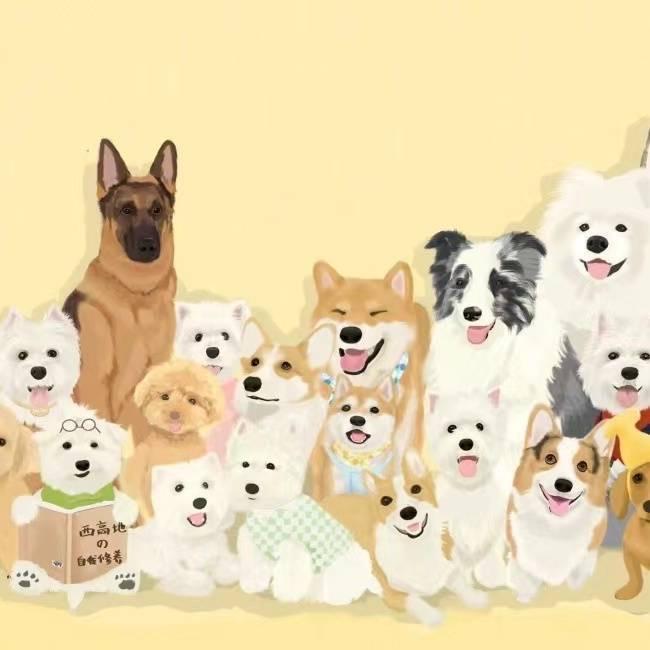 那个宠物店pet shop