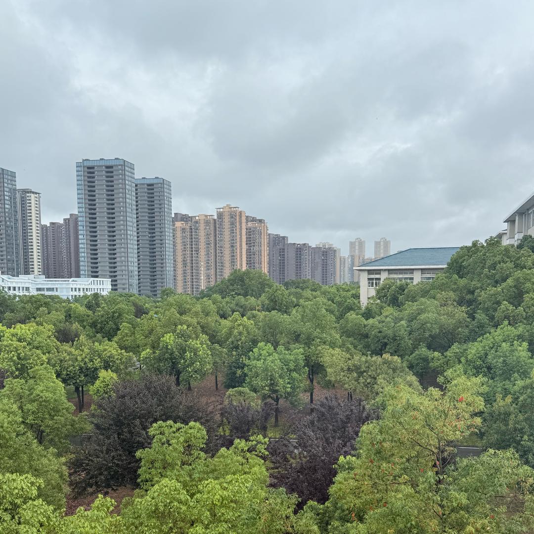 高山老师