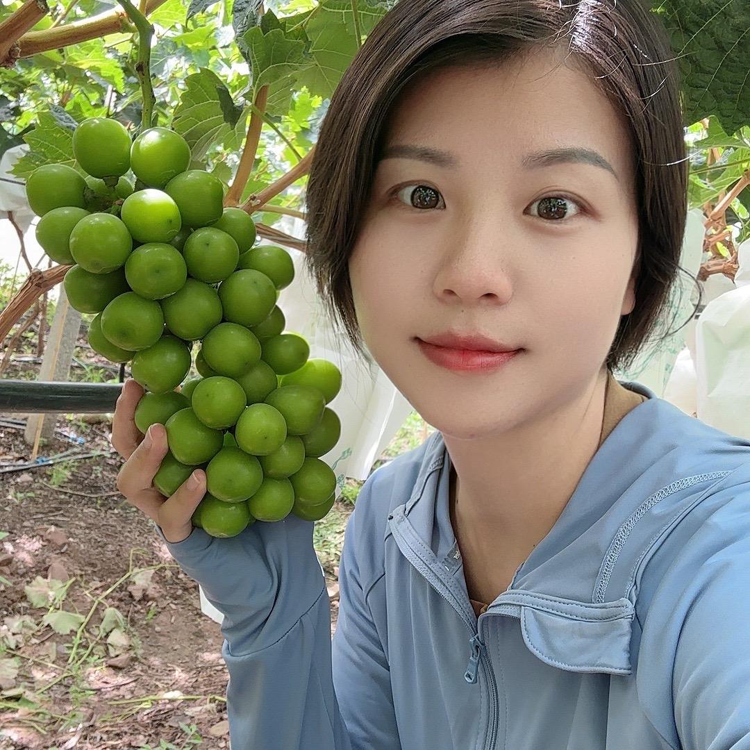 做农业的苏苏