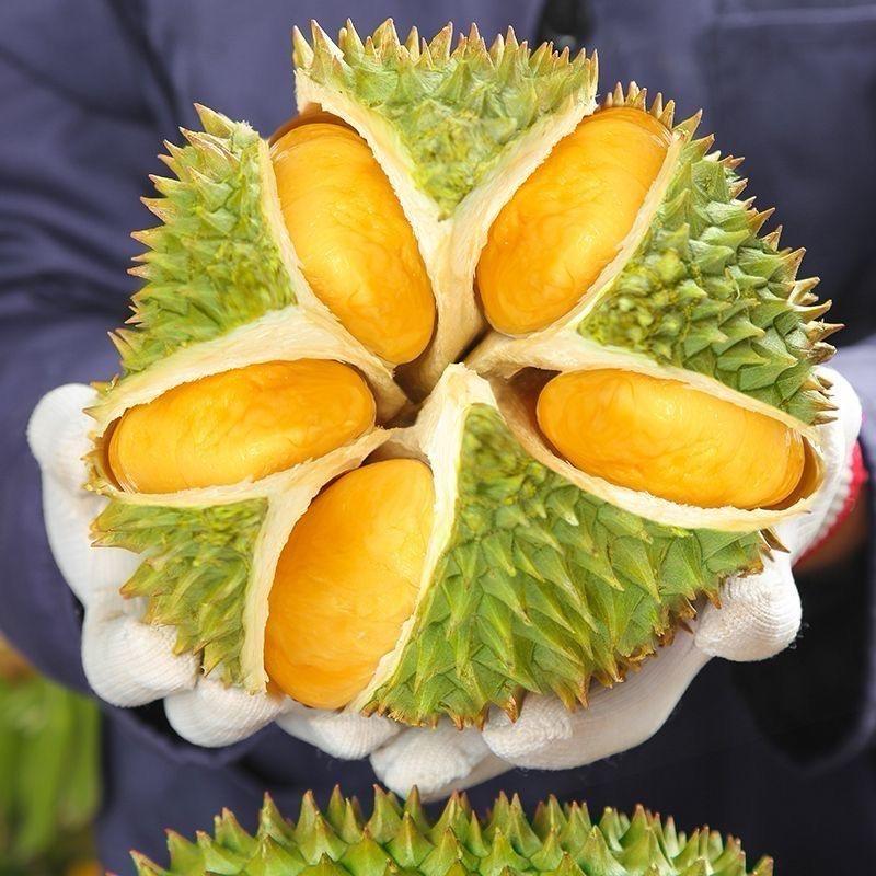 科诺特榴莲生鲜