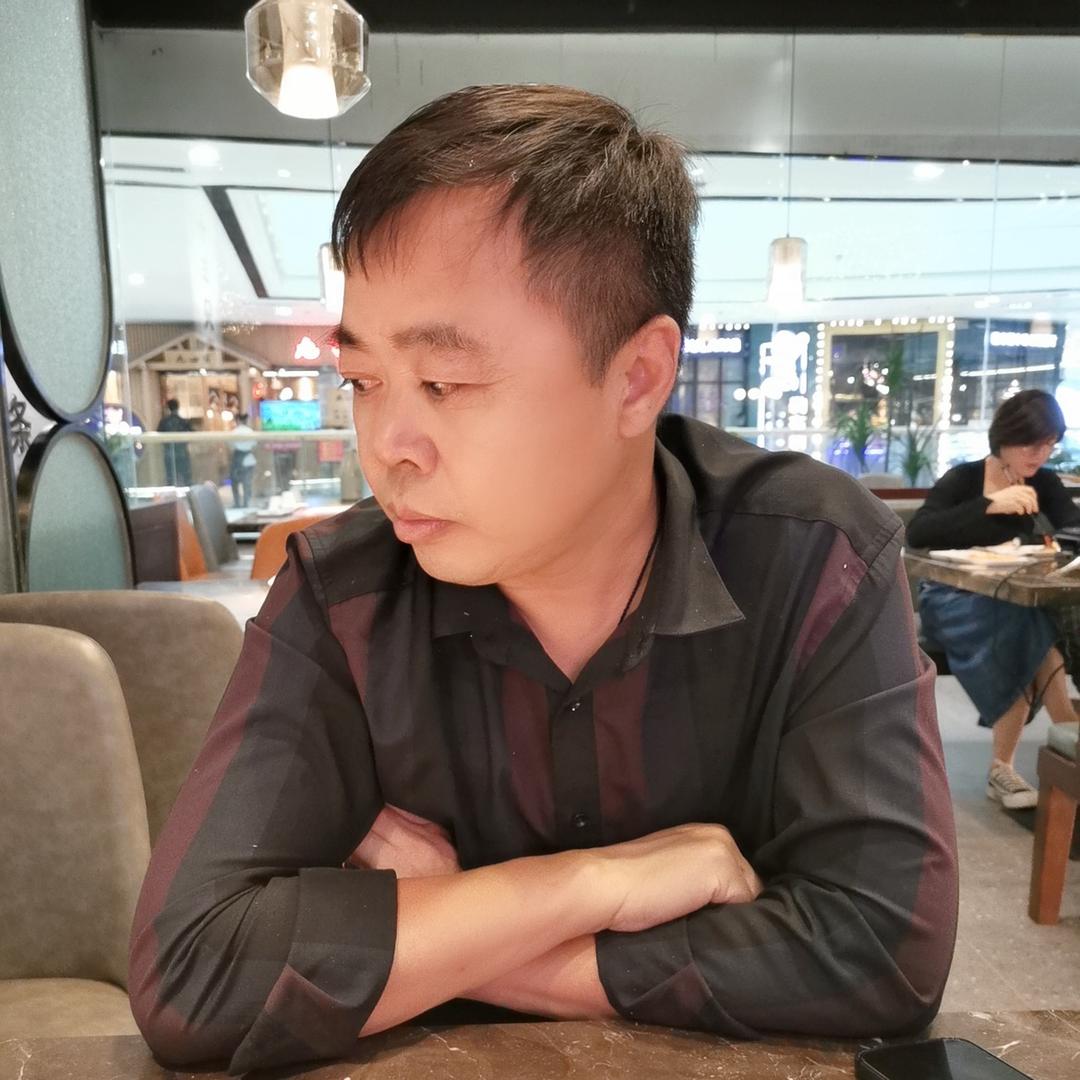 竹鱼绿植盆景竹鱼