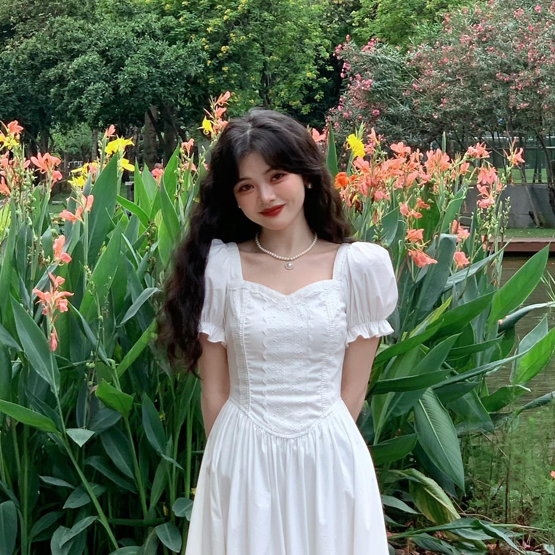 鹿和琪的鹿