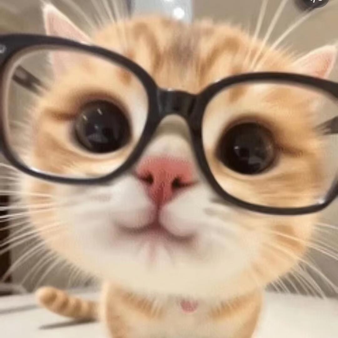 美若萌宠