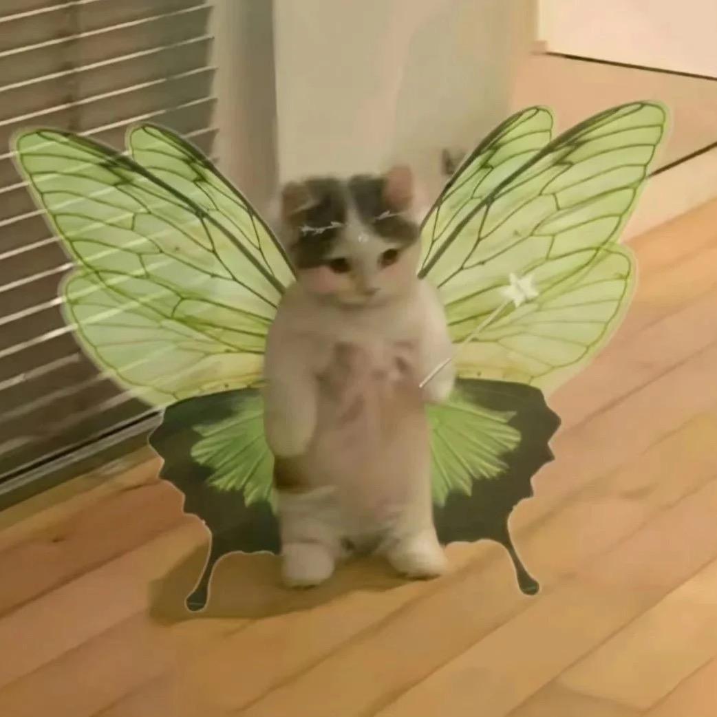 清醒白日梦