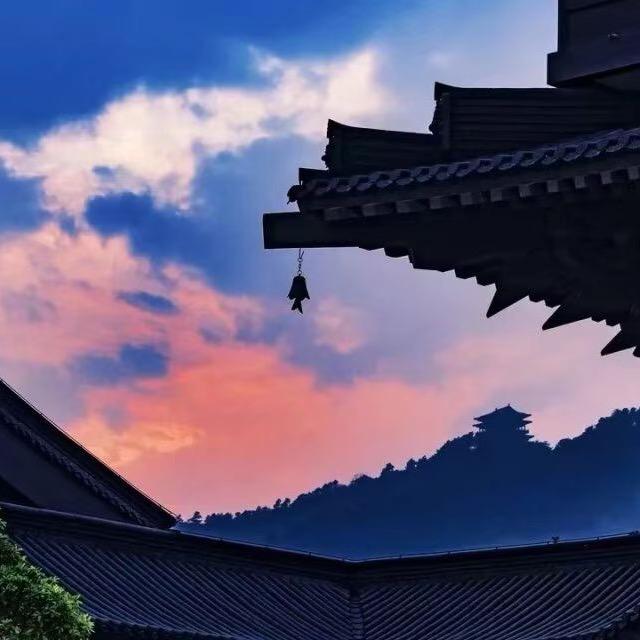 浅若夏沫🥒