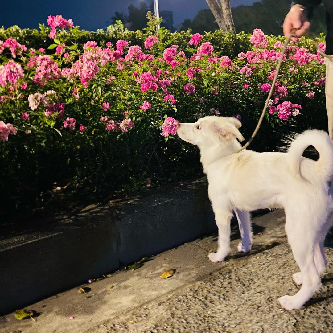 平安富贵的书屋📚