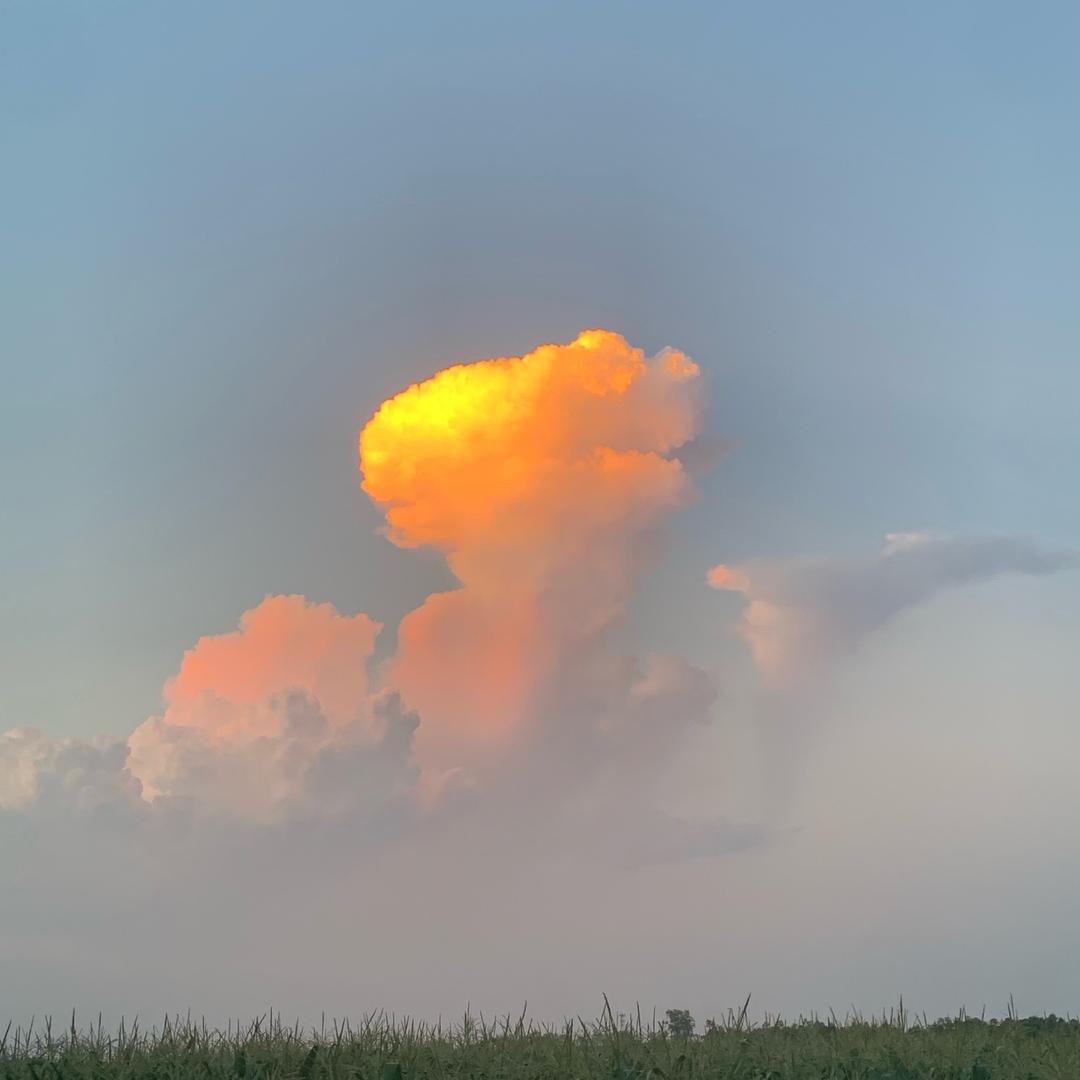 🤗好难瘦🤗