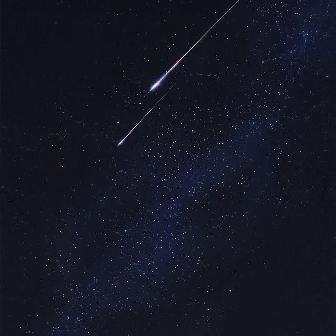 兔