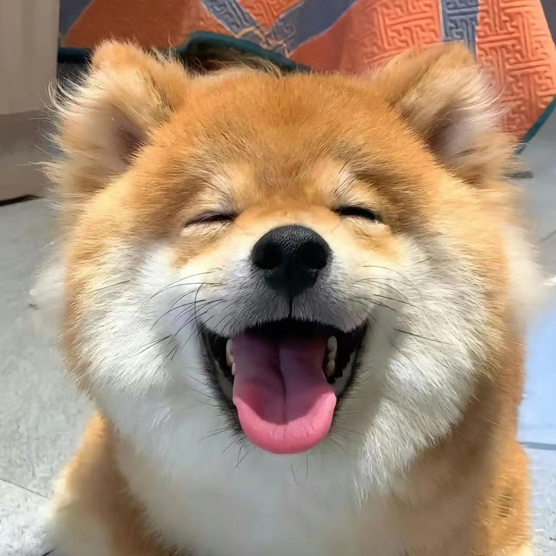 一只毛孩子