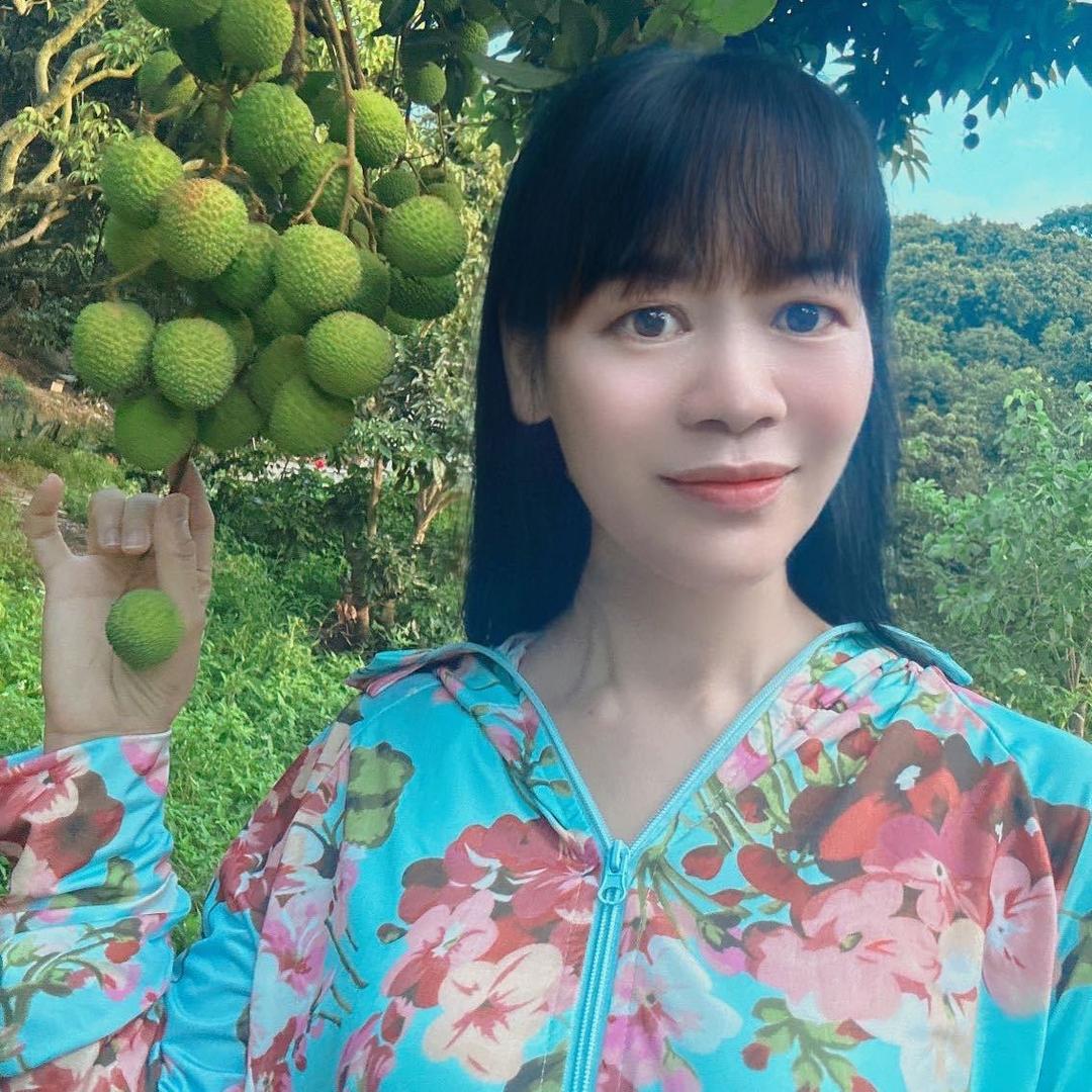 深圳南山荔枝园