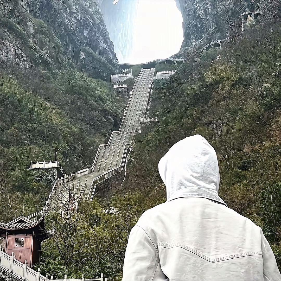 两个树杈