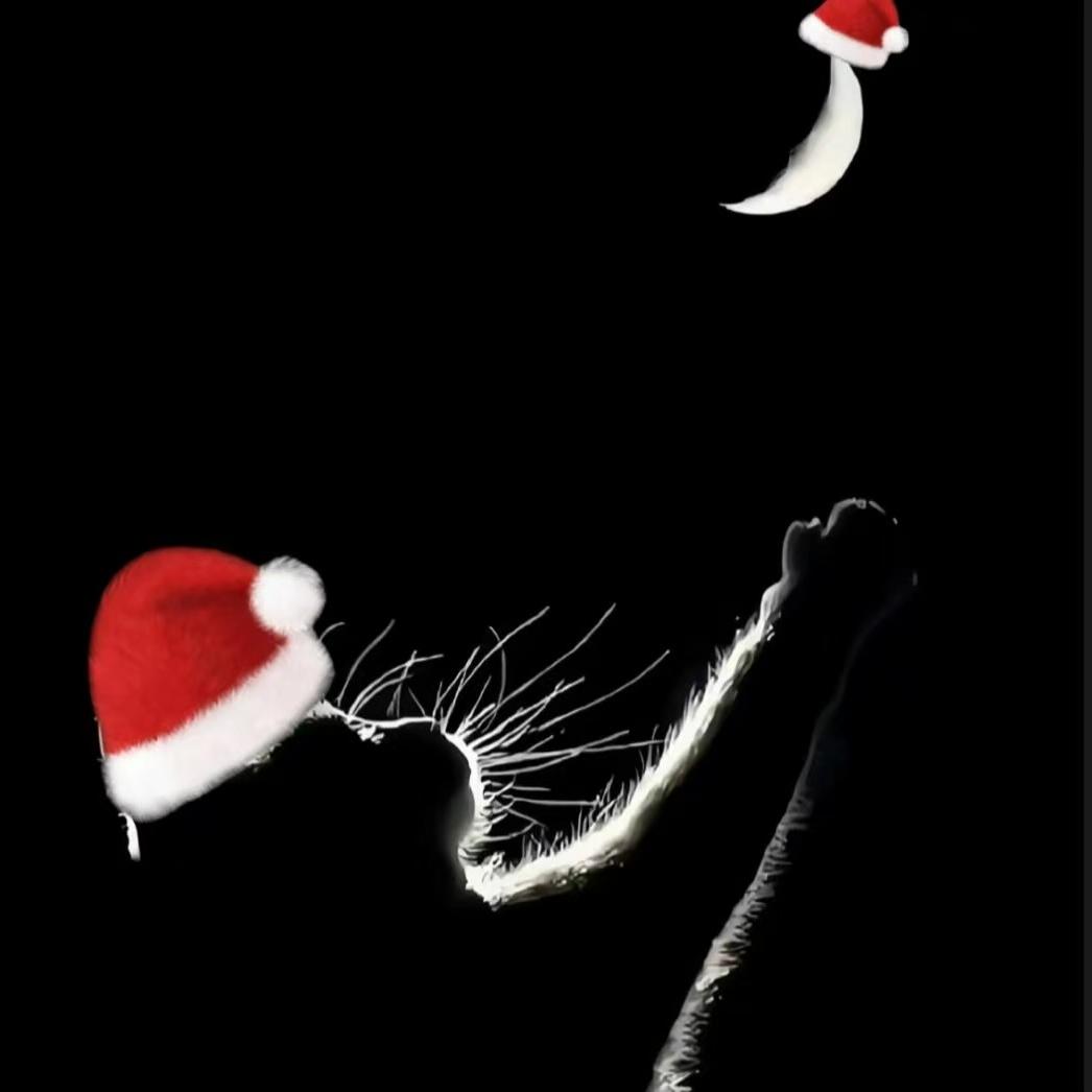 好好好喜欢法斗