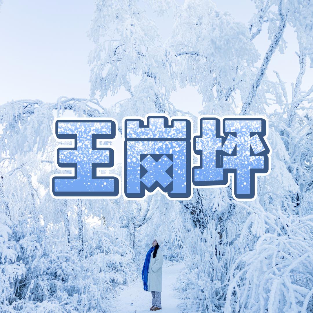 王岗坪福利专场