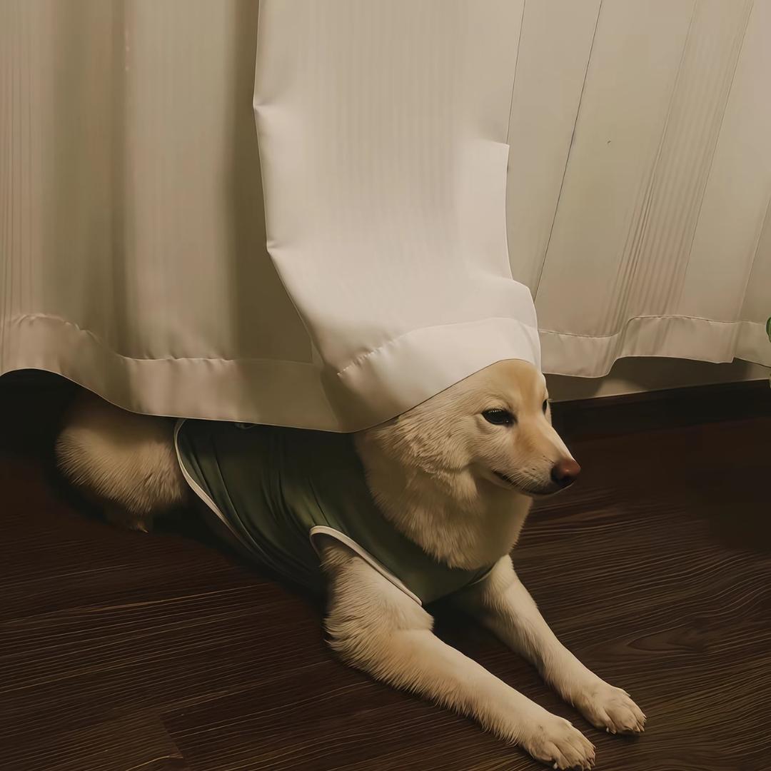 kⅈꫛᧁ