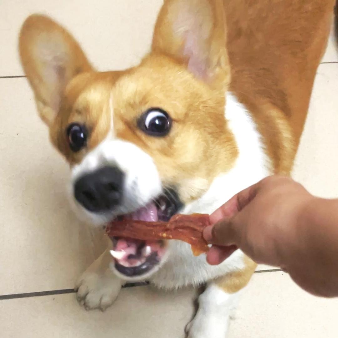 小尾巴六六
