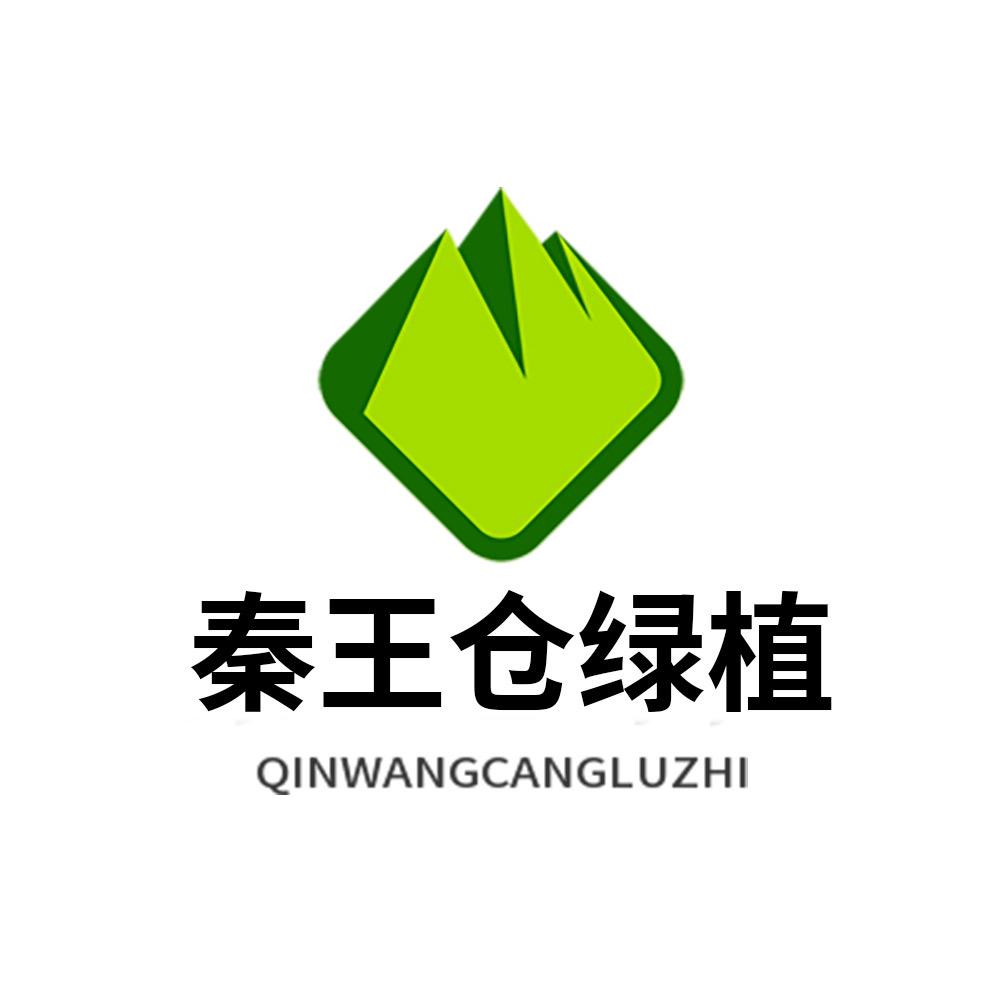 秦王仓绿植