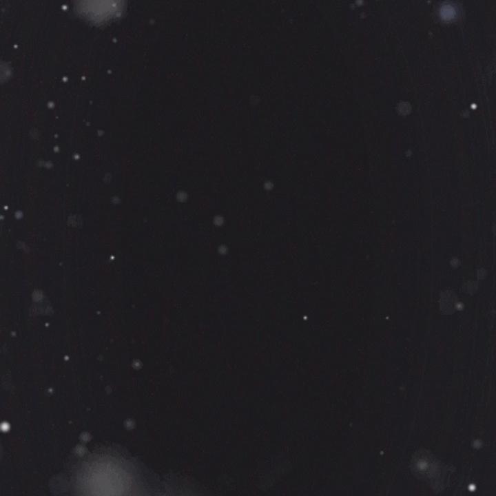 涛涛涛直播好物