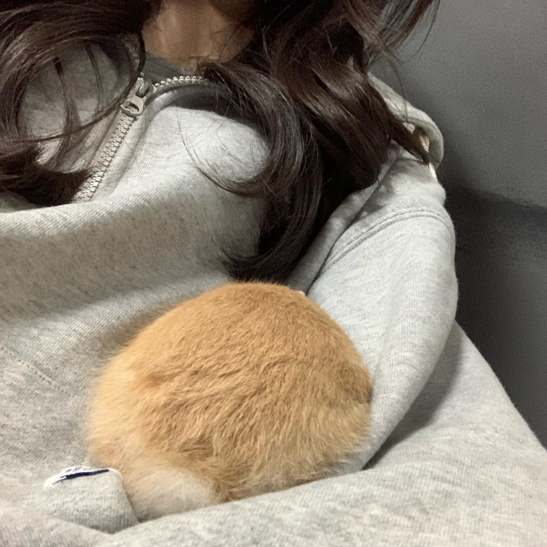 憨憨月_1