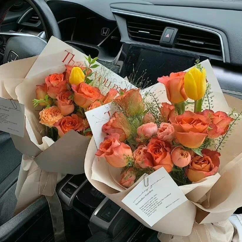 🌻乐安