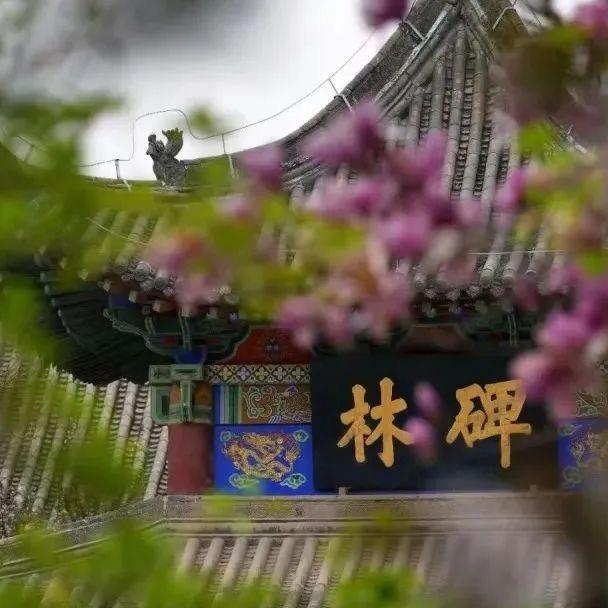 品鉴