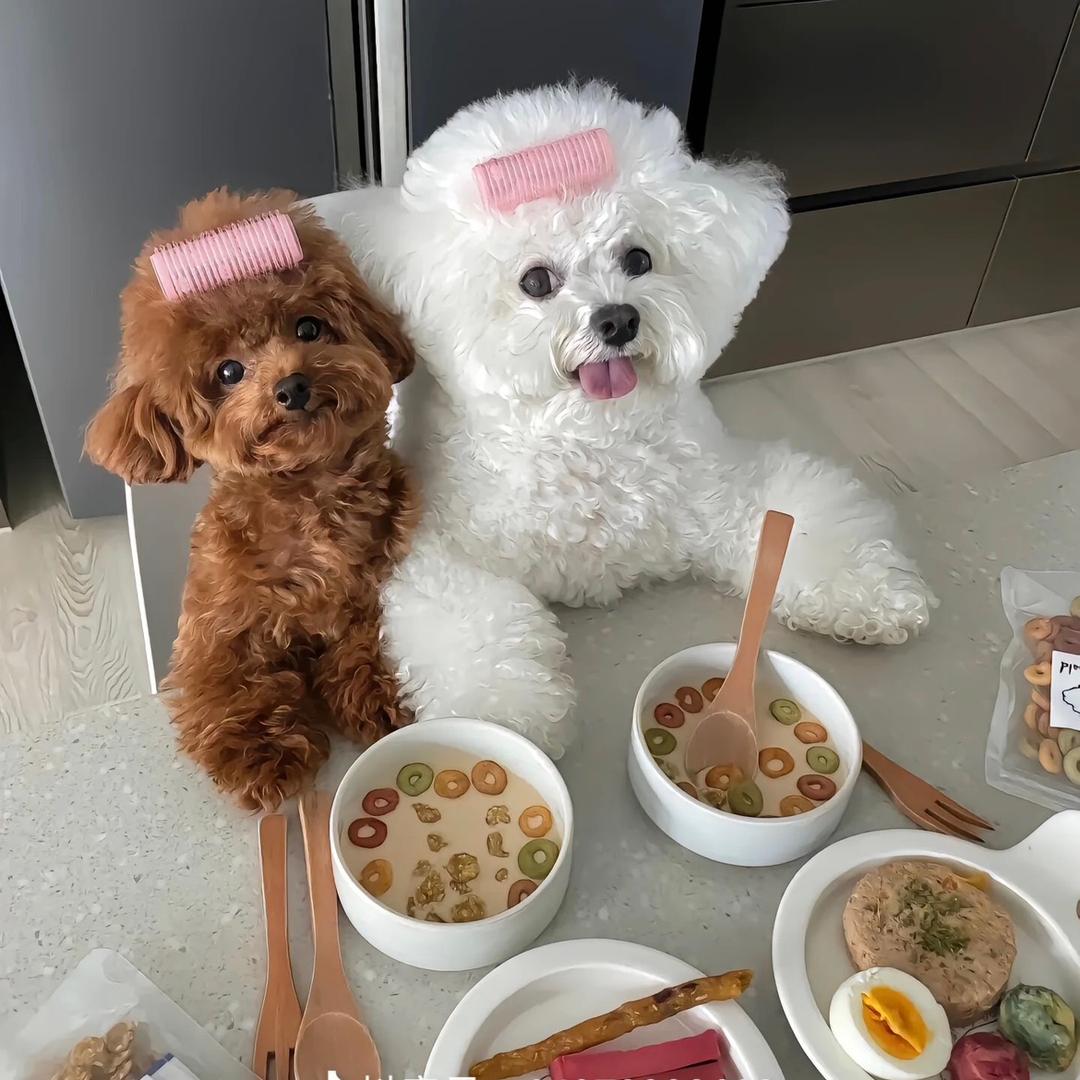 羊羊🐑