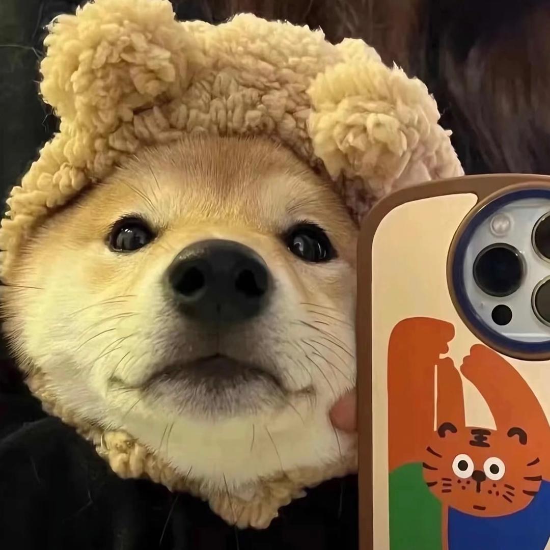 淘一乐