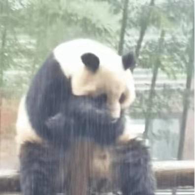 阿聪没有对讲机