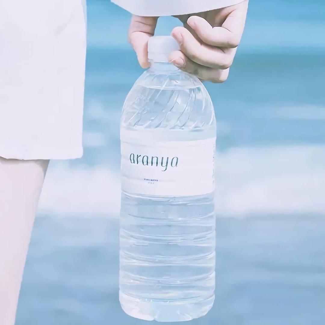 南伊