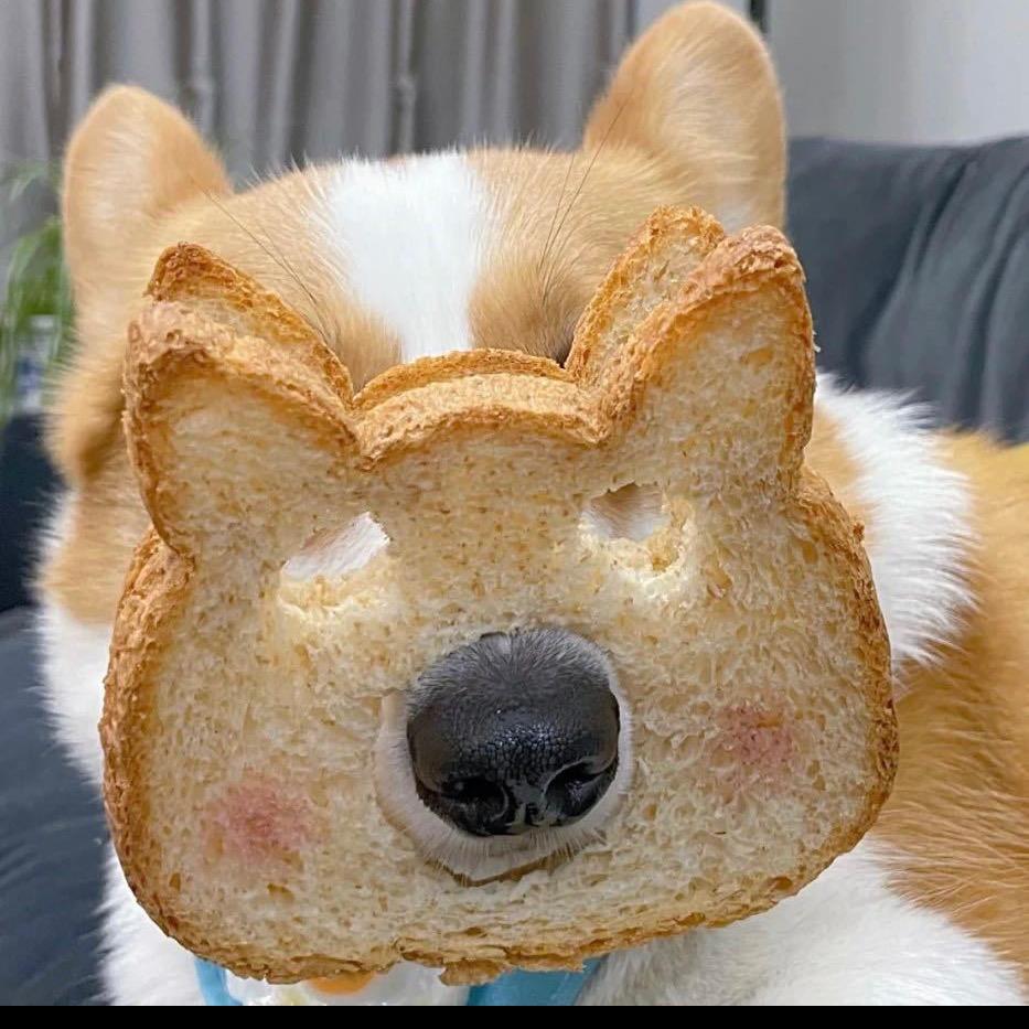 皮蛋
