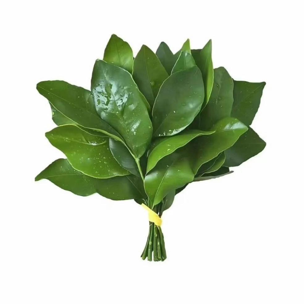 蜡笔小欣🫧