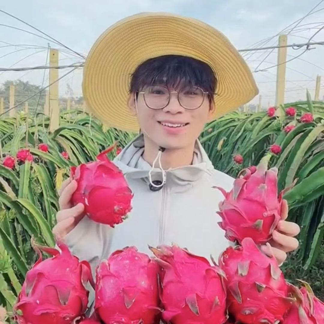 广西火龙果产地直发