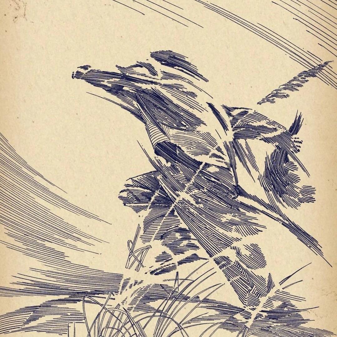 你笑的倾城，却再也不属于我