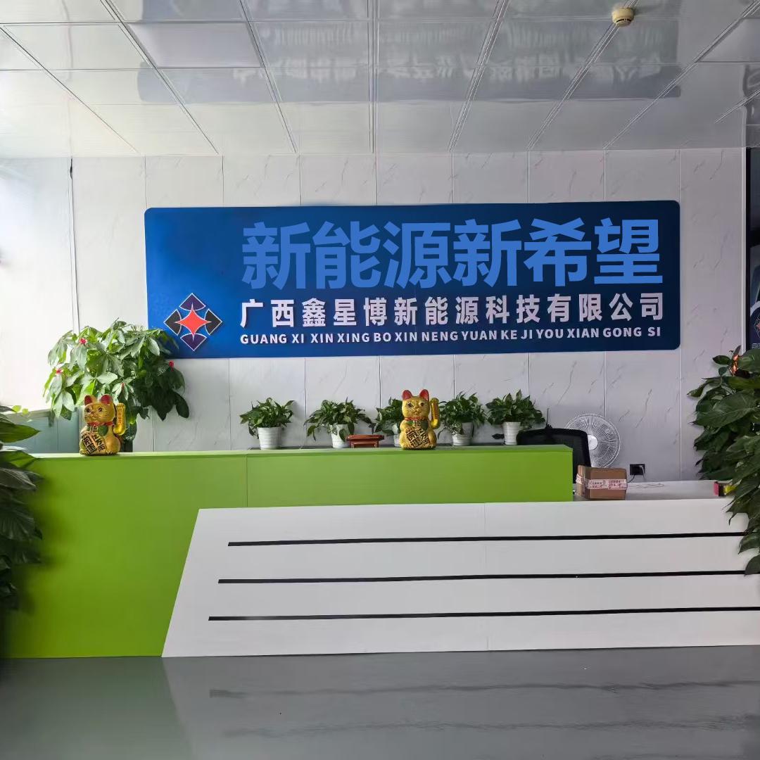 鑫星博锂电池2号