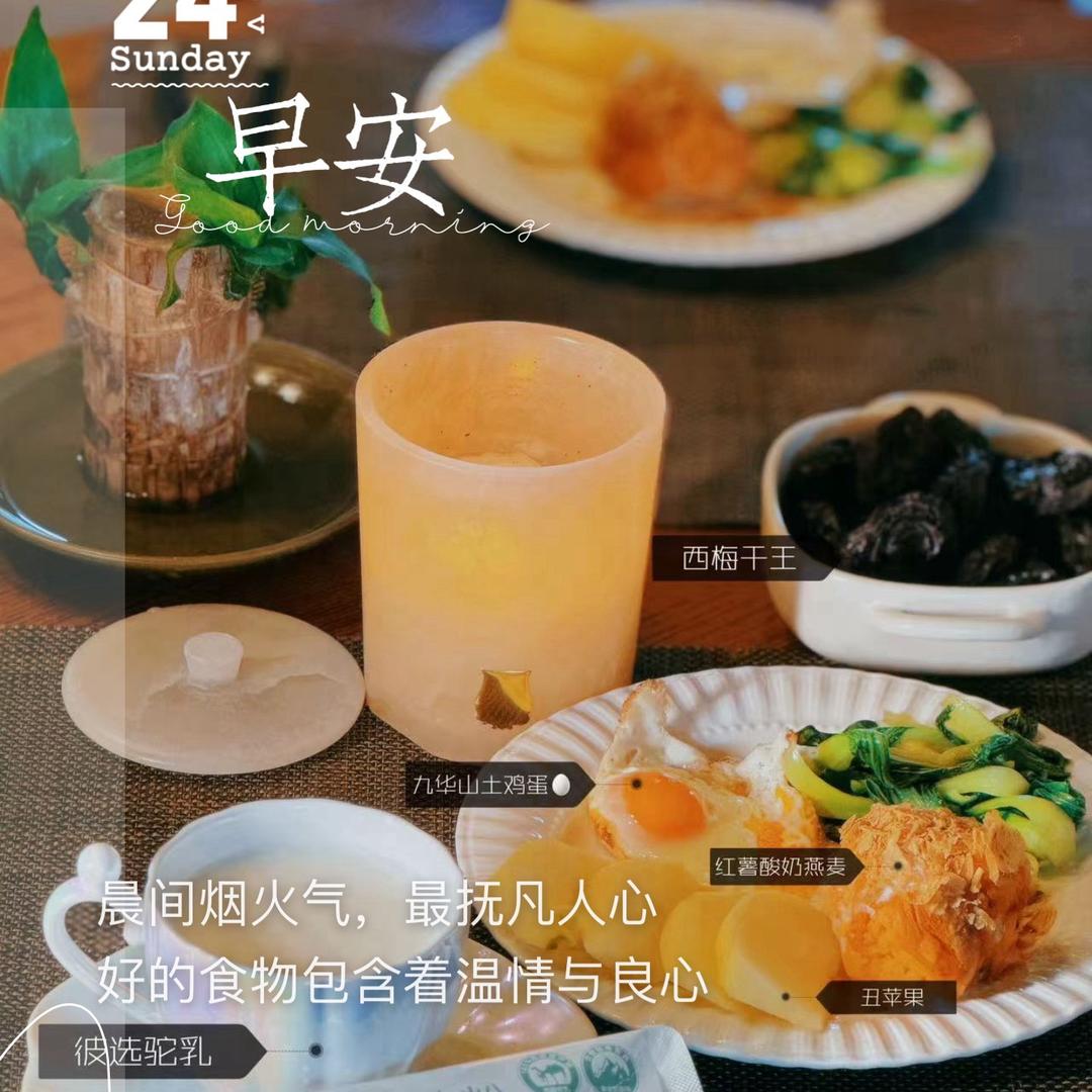 晨晨子