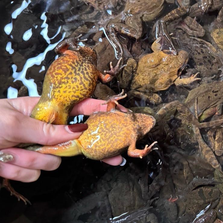 SXT常盈东北土特产