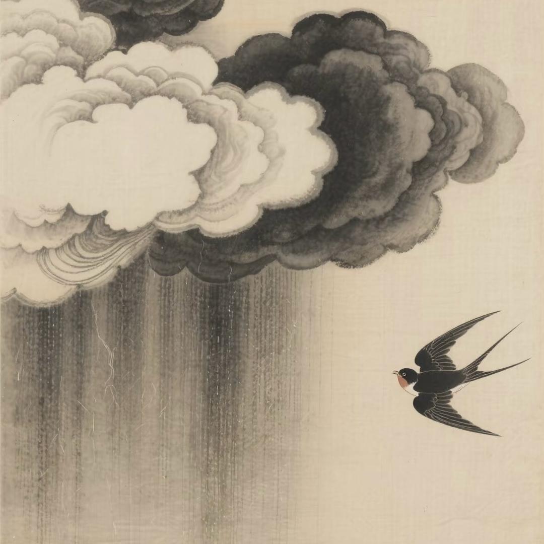 新一代的洗衣粉