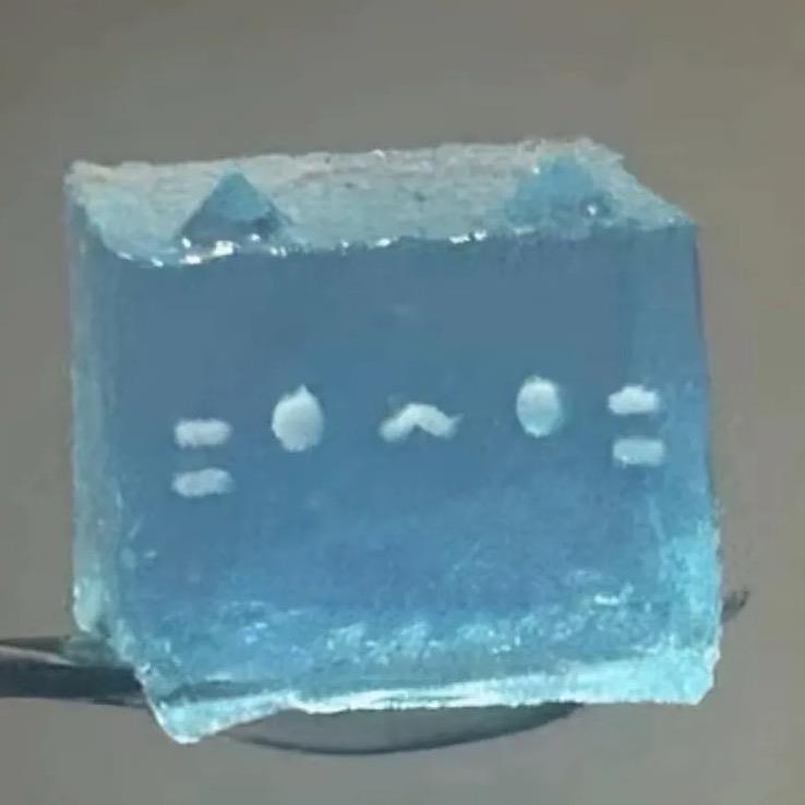 873049858