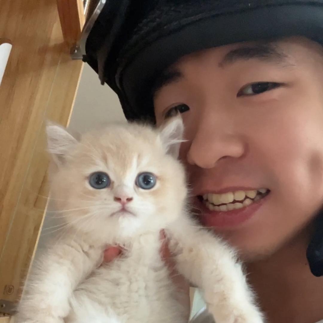 俊肉猫馆
