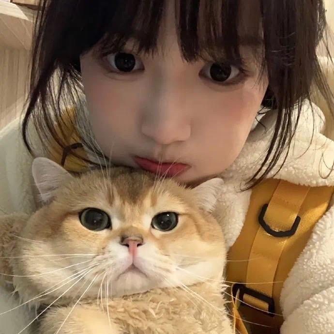 小o