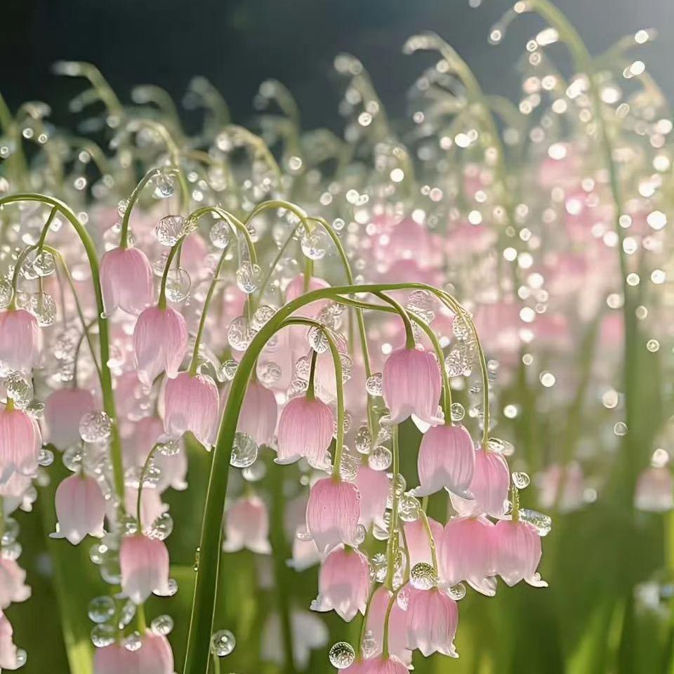 是你通讯录好友