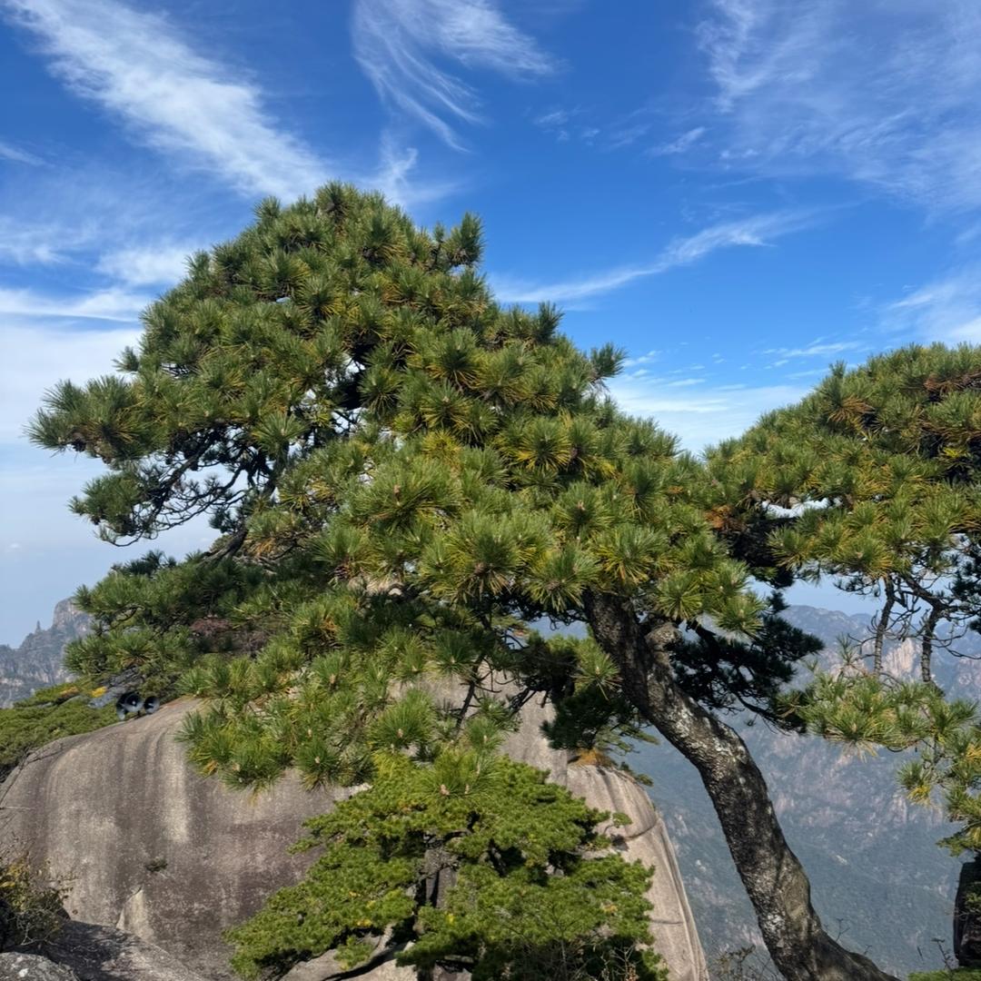 风云&