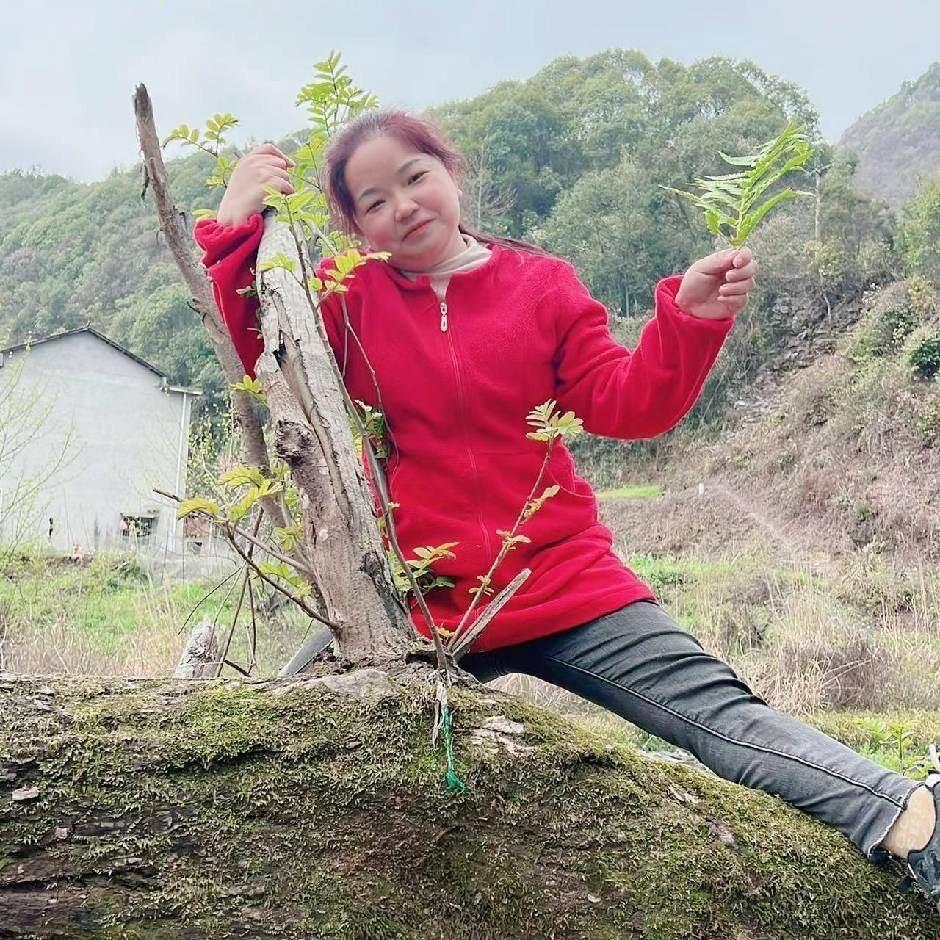 洞囗芬芬