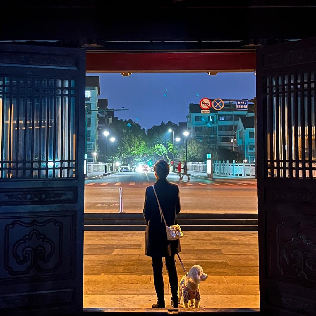 亲情树