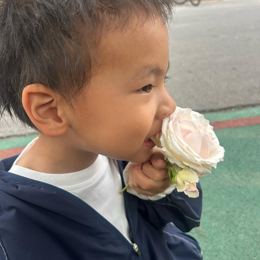 晋美旺措🌞团团